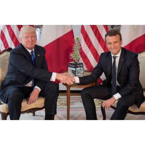Emmanuel Macron regala un Pino de las Landas a Donald Trump