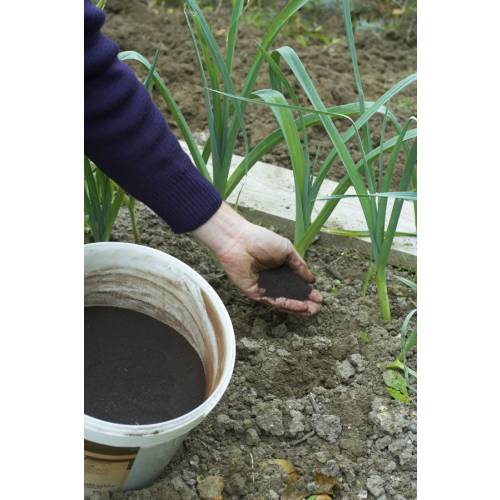 Fertilizar sus plantas a medida