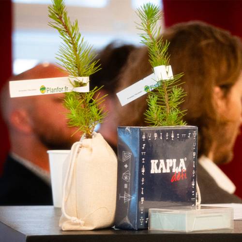 Arbol como regalo de empresa