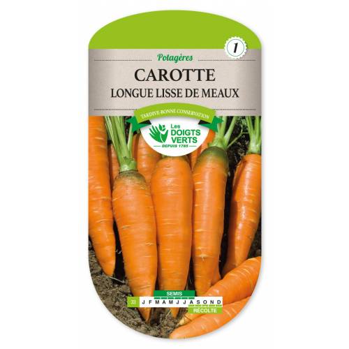 Zanahoria longue Lisse de Meaux