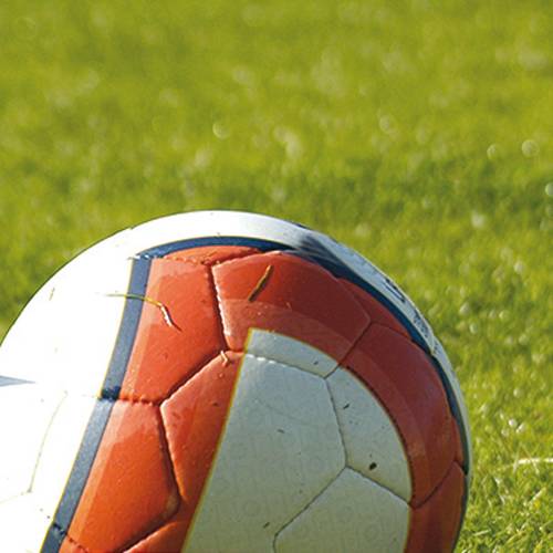 C�sped para campos deportivos - 1kg - 35m2