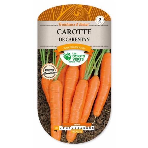 Zanahoria de Carentan