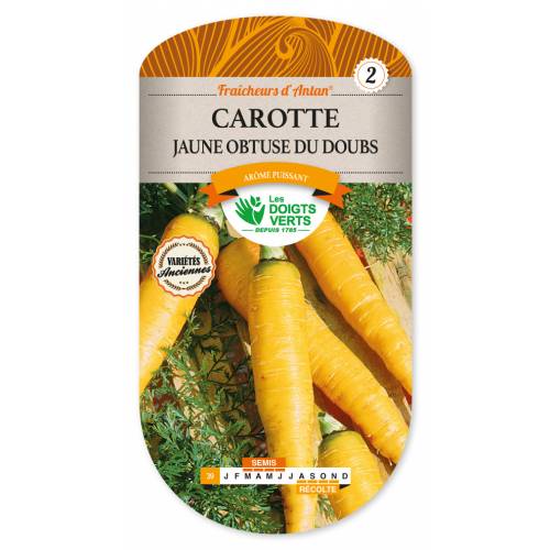 Zanahoria amarilla obtusa de Doubs