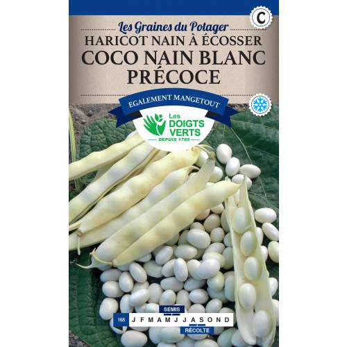 Alubia enana 'Coco blanc précoce'