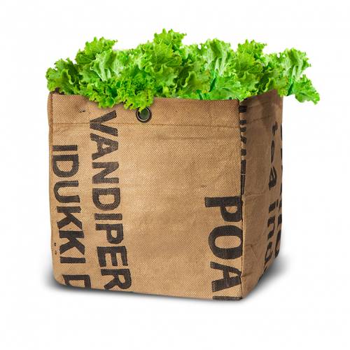 Kit de Plantacin Lechuga Bio - Bowl Green