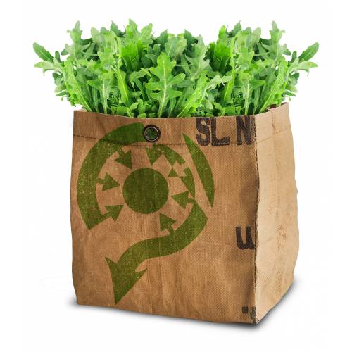 Kit de Plantacin Lechuga Bio - Rcula