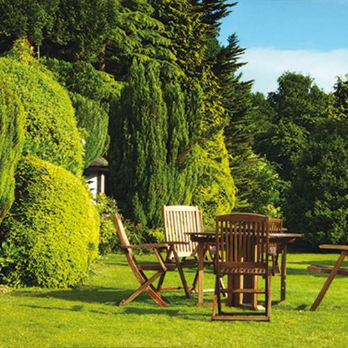 C�sped r�stico - 20kg - 1000m2