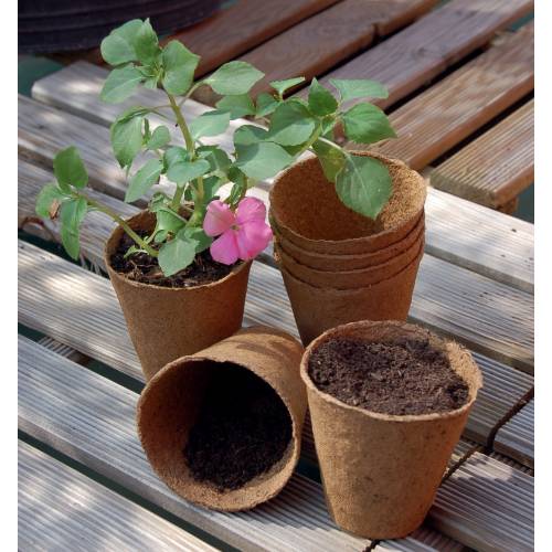 Macetas biodegradables redondas 6cm