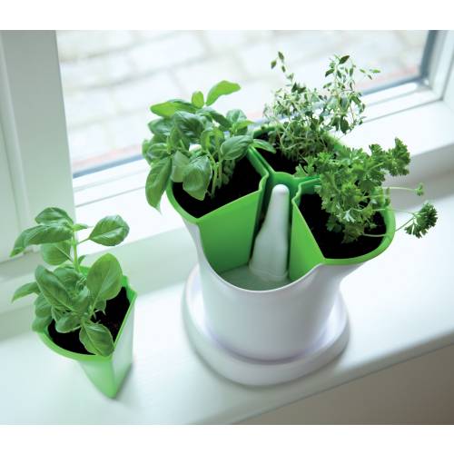Maceta para plantas aromáticas - Verde y blanco