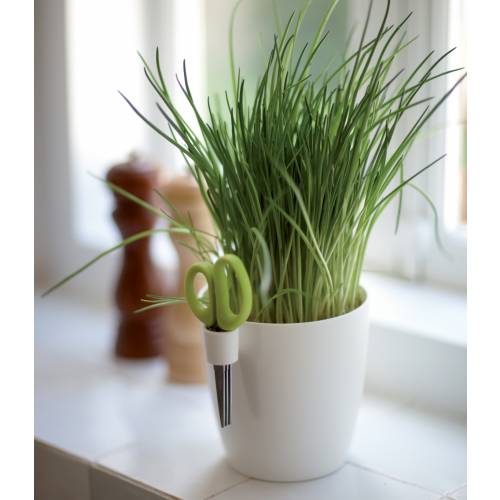 Brussels Herbs Single - Antracita - Elho