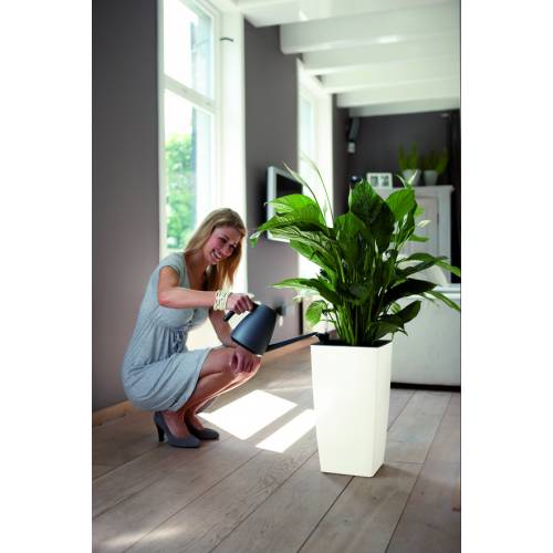 Milano All-in-One - A55cm - Antracita Mate - Elho
