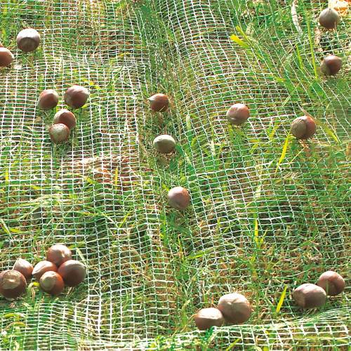Red de cosecha para Huerto frutal - 4 x 6 m