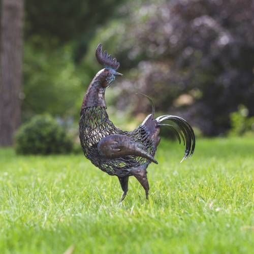 Animal Decorativo - Gallo