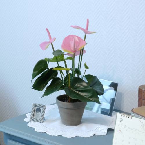 Planta Artificial - Anthurium Rosa - MICA