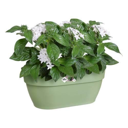 Maceta Pared Vibia Campana -35 cm - Verde P. -Elho