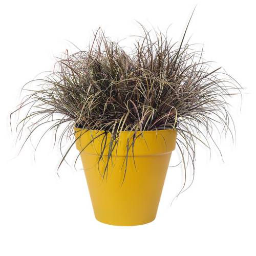 Loft Urban Round  D.40 A.35  Ocre Elho