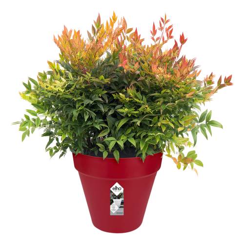 Loft Urban Round  D.50 A.44  Rojo ArndanosElho