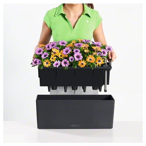 Balconera Color 50 - Verde Pastel - LECHUZA