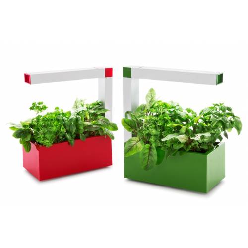 Jardinera Hidropnica - Herbie Verde - Tregren