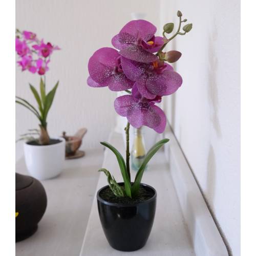 Planta Artificial - Phalaenopsis Violeta - MICA