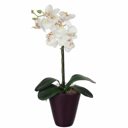 Planta Artificial - Phalaenopsis Blanca - MICA