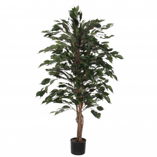 Planta Artificial - Ficus benjamina - MICA