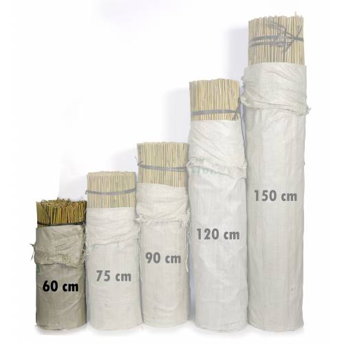 Tutor de bambu - 060 cm