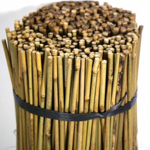 Tutor de bambu - 120 cm