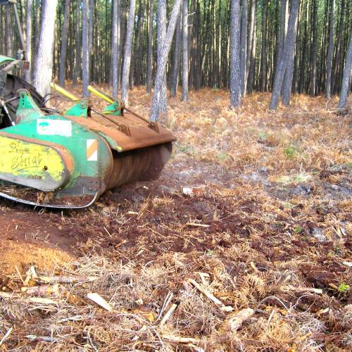 Trituracin forestal