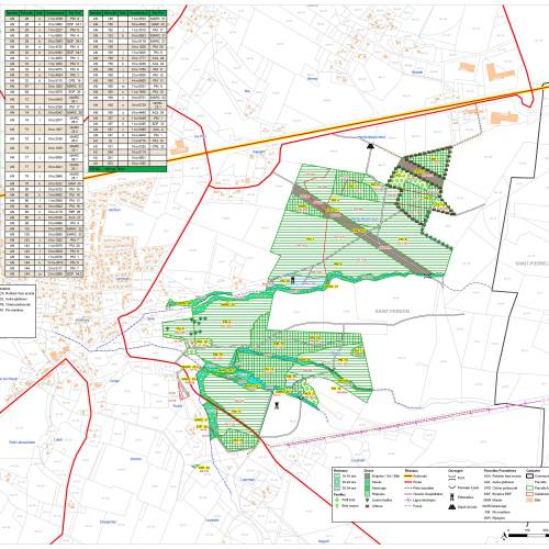 Cartografa forestal