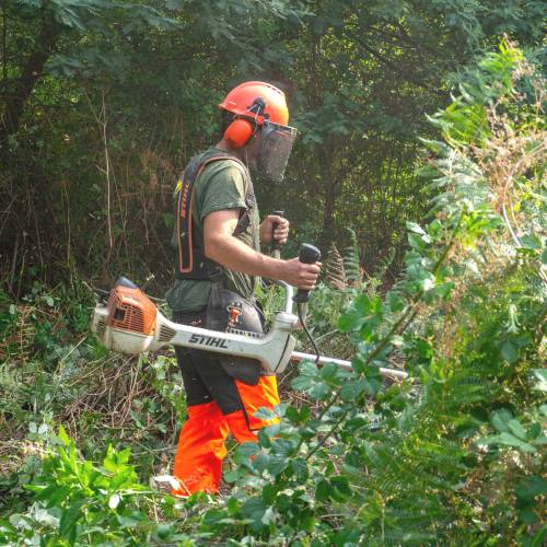 Desbroce forestal