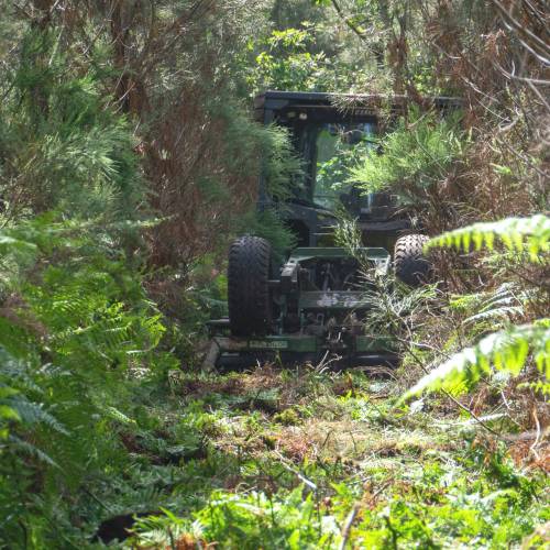 Desbroce forestal
