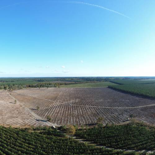 Estimacin de propiedad forestal