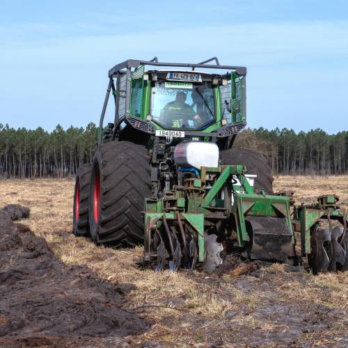 Labranza forestal
