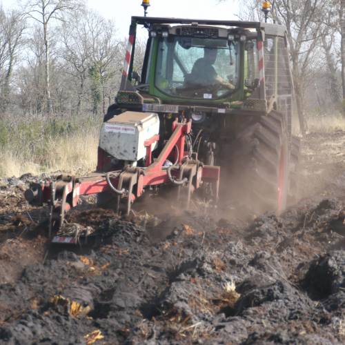 Labranza forestal