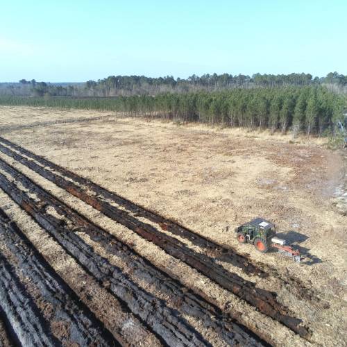 Labranza forestal