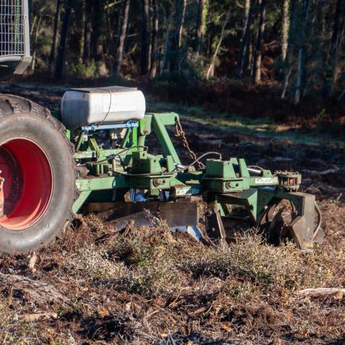 Labranza forestal