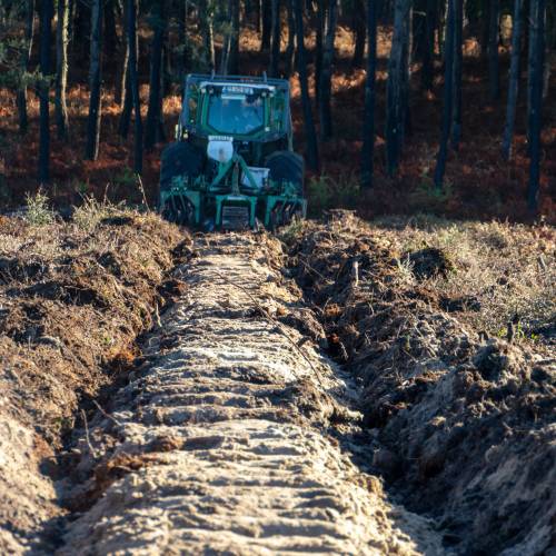 Labranza forestal