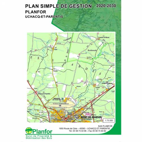 Plan de gestin simple (PGS)