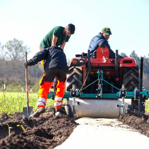 Plantacin forestal