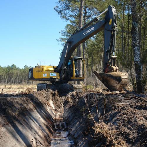 Trabajo con pala en el bosque