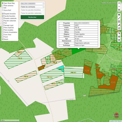 Contrato seguimiento de propiedad forestal