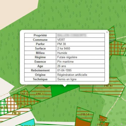 Contrato seguimiento de propiedad forestal
