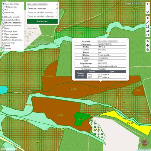 Contrato seguimiento de propiedad forestal