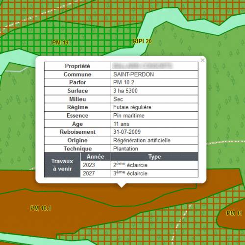 Contrato seguimiento de propiedad forestal